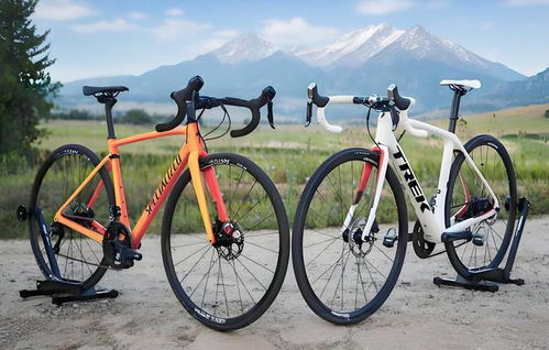 2025自行車行業(yè)報告評測 閃電崔克梅花捷安特喜德盛品牌檔次