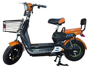 電動(dòng)車經(jīng)銷商必備車型