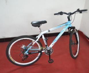 供應(yīng)26式自行車(chē)價(jià)格_供應(yīng)26式自行車(chē)廠(chǎng)家_世界工廠(chǎng)網(wǎng)產(chǎn)品信息庫(kù)